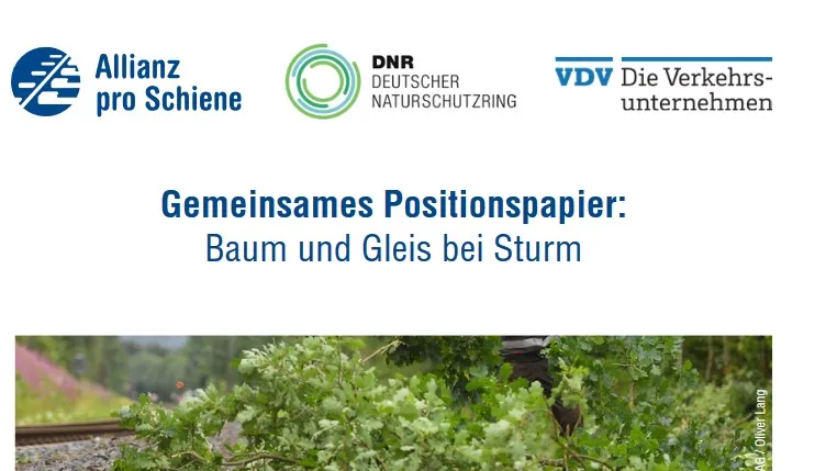 Screenshot Titelblatt Positionspapier